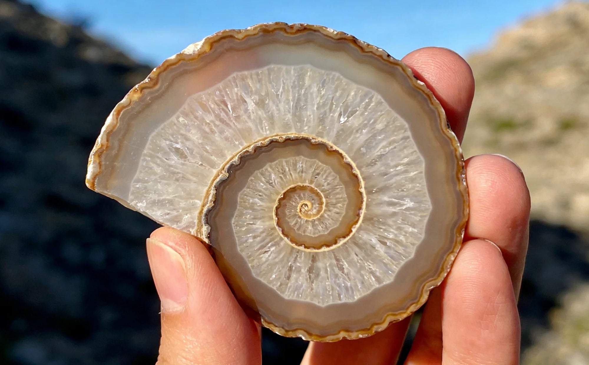 The ToAuto gemstone cutting machine can be used to cut Ammonite Fossil Slice.